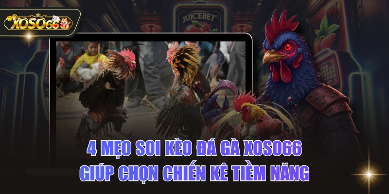4 Mẹo Soi Kèo Đá Gà XOSO66 Giúp Chọn Chiến Kê Tiềm Năng 1 4 Mẹo Soi Kèo Đá Gà XOSO66 Giúp Chọn Chiến Kê Tiềm Năng 4 Mẹo Soi Kèo Đá Gà XOSO66 Giúp Chọn Chiến Kê Tiềm Năng