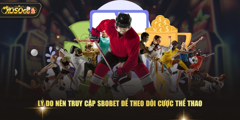 SBOBET XOSO66 - Sảnh Cược thể thao Ăn Khách Nhất 2026 3 SBOBET XOSO66 - Sảnh Cược thể thao Ăn Khách Nhất 2026 Lý do nên truy cập SBOBET để theo dõi cược thể thao