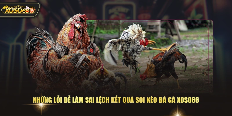 4 Mẹo Soi Kèo Đá Gà XOSO66 Giúp Chọn Chiến Kê Tiềm Năng 4 4 Mẹo Soi Kèo Đá Gà XOSO66 Giúp Chọn Chiến Kê Tiềm Năng Những lỗi dễ làm sai lệch kết quả soi kèo đá gà XOSO66